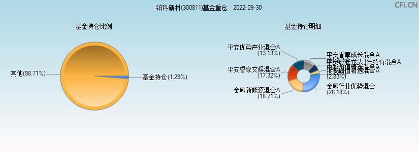 300811-300811铂科新材