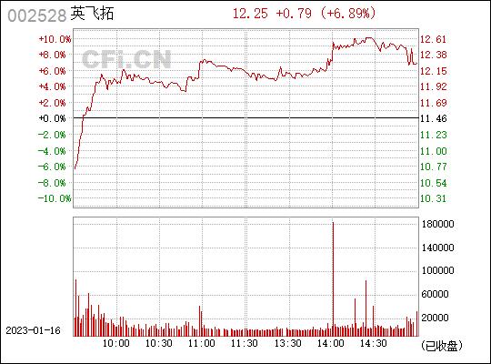002528英飞拓-002528英飞拓股