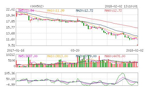 000502-恒大股票000502