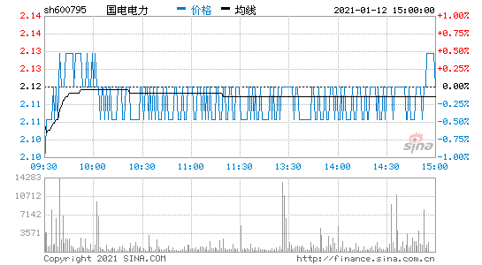 600795股票-600795股票行情