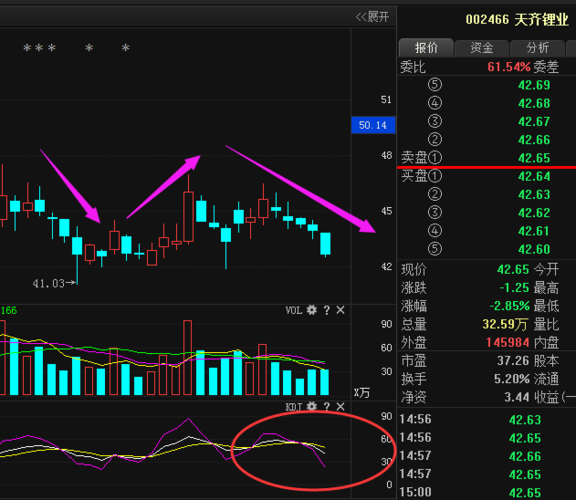 002466股票-002466股票行情