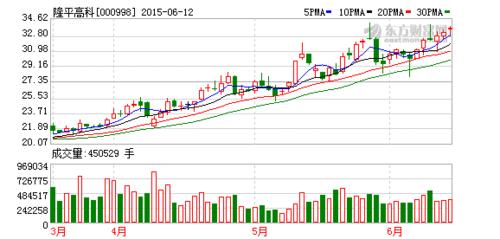 000998股票-000998股票是多少
