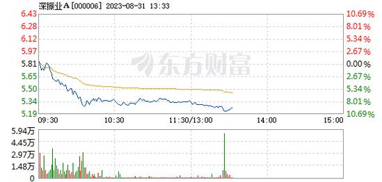 深振业股票-000006深振业股票