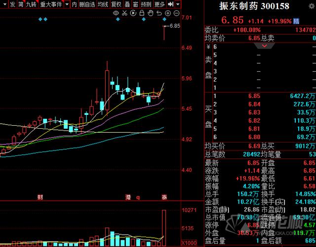 振东制药-振东制药股票