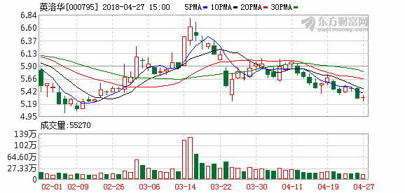 000795股票-000795股票行情