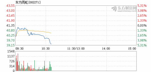 002271股票-002271股票行情