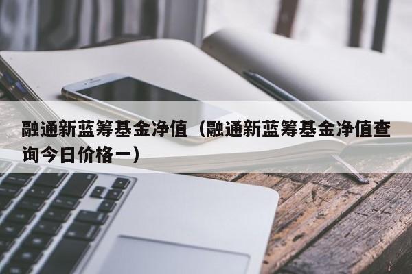 融通新蓝筹基金净值-融通新蓝筹基金净值161601