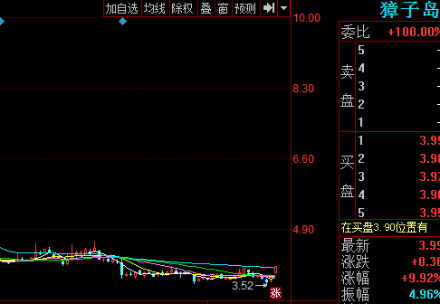 002069股票-002069股票行情