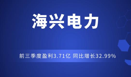 海兴电力科技-海兴电力科技有限公司怎么样