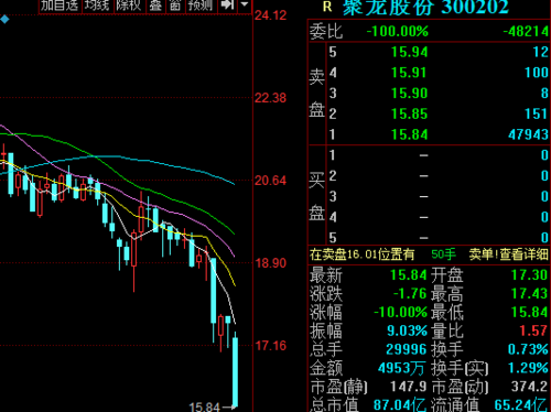 300202-300202 聚龙股份