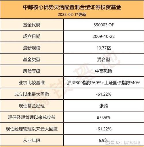 中邮核心优选股票型证券投资基金-中邮核心优选基金怎么样