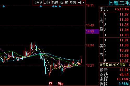 上海三毛股票-上海三毛股票股吧