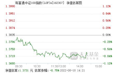 海富通中证100-海富通中证100基金净值查询