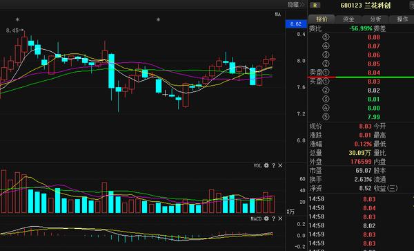 600123股票-600123股票分析