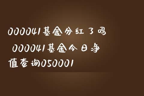 000041基金-000041基金今日净值查询050001