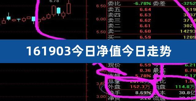 001195-001195基金净值查询今天最新净值