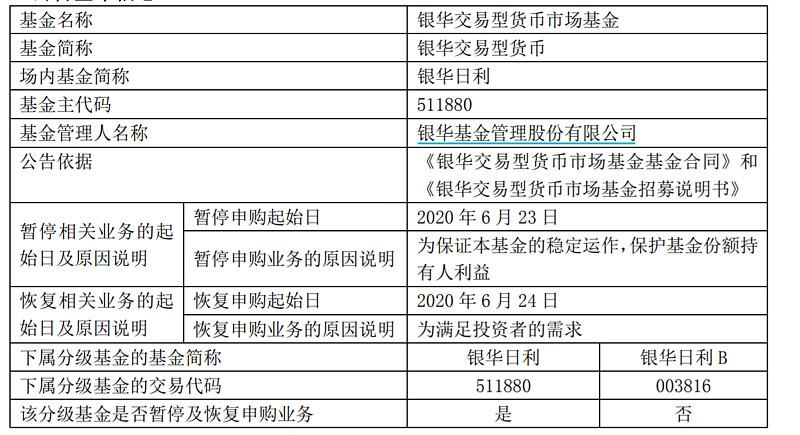 银华货币a-银华货币A的投资方式