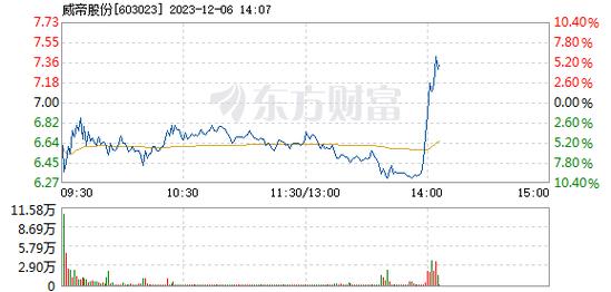 威帝股份-威帝股份股吧